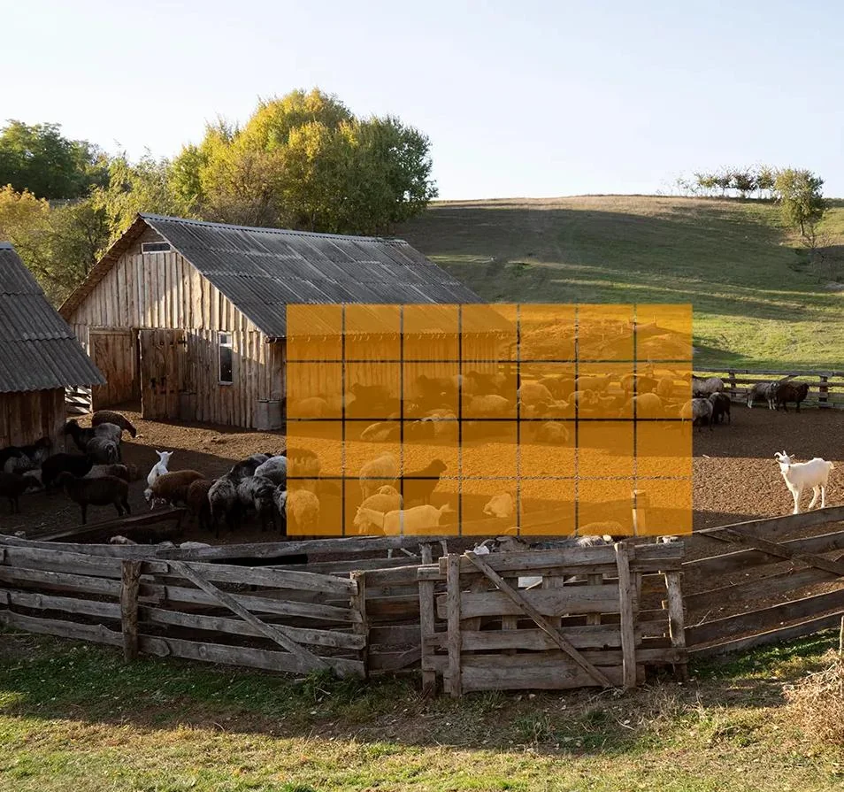 Kamera IP Imou Cell PT 4G kit 3MP bateryjna z panelem solarnym 11 Kamera IP Imou Cell PT 4G kit 3MP bateryjna z panelem solarnym - obrazek 11