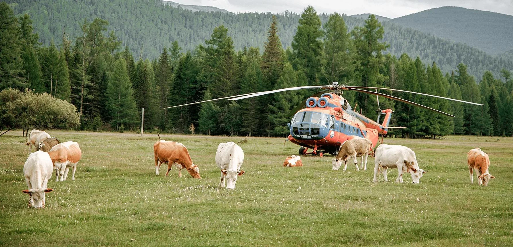 Kamera IP Imou Cell PT 4G kit 3MP bateryjna z panelem solarnym 14 Kamera IP Imou Cell PT 4G kit 3MP bateryjna z panelem solarnym - obrazek 14