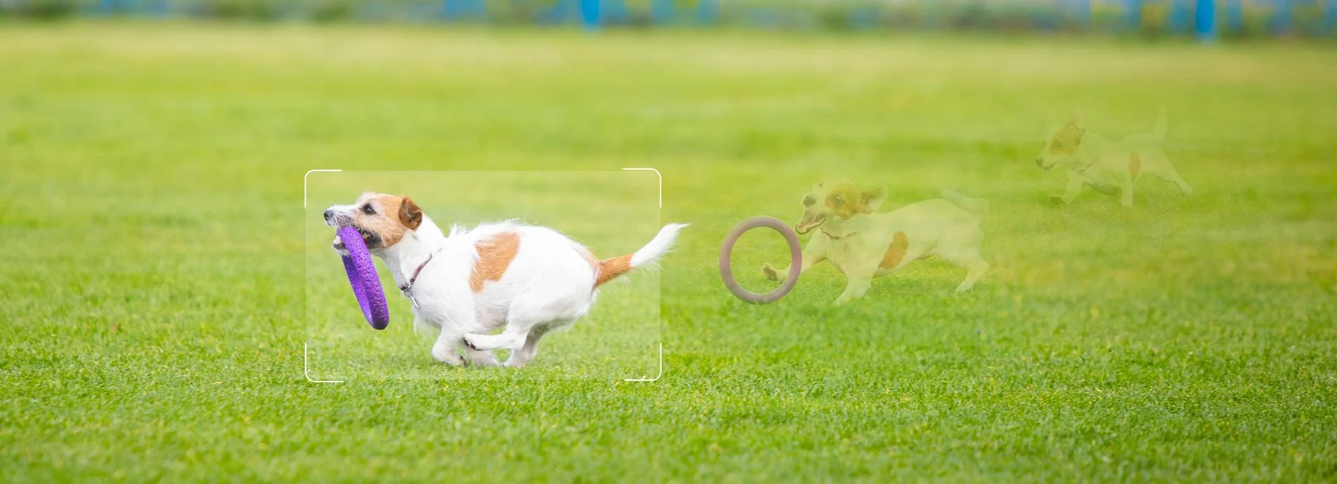 Zestaw 2 kamer IP Imou Cruiser SC 5MP z chmurami Imou Protect - obrazek 7