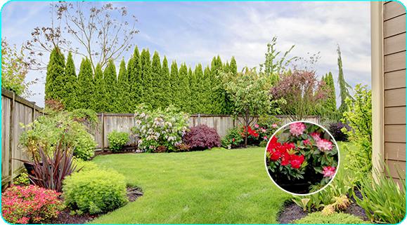 Kamera IP Ezviz H5 PoE 2K 3MPx 9 Kamera IP Ezviz H5 PoE 2K 3MPx - obrazek 9