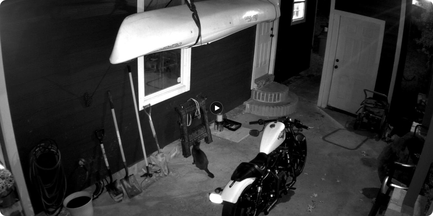 Kamera IP Reolink Argus Series B320 z panelem solarnym 15 Kamera IP Reolink Argus Series B320 z panelem solarnym - obrazek 15