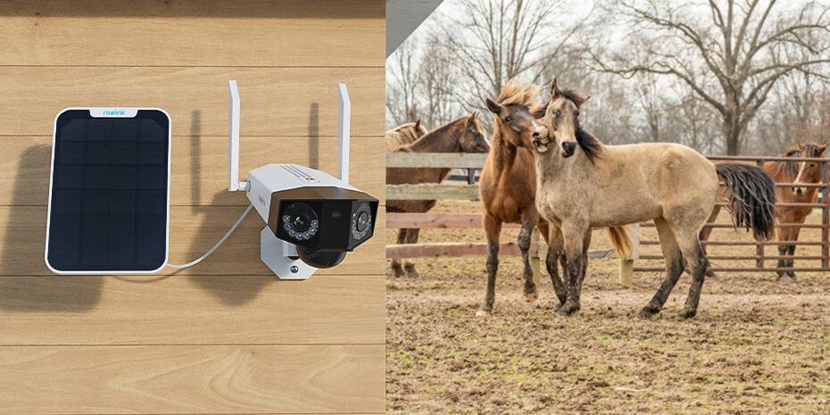 Kamera IP Reolink DUO Series G750 z panelem solarnym - obrazek 11