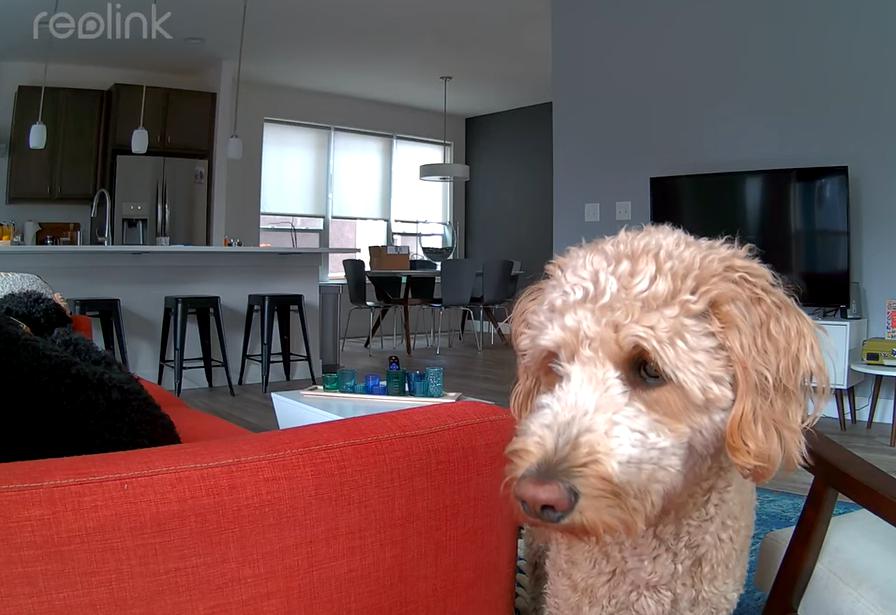 Kamera IP Reolink E340 wewnętrzna obrotowa 8MPx WiFi biała 10 Kamera IP Reolink E340 wewnętrzna obrotowa 8MPx WiFi biała - obrazek 10