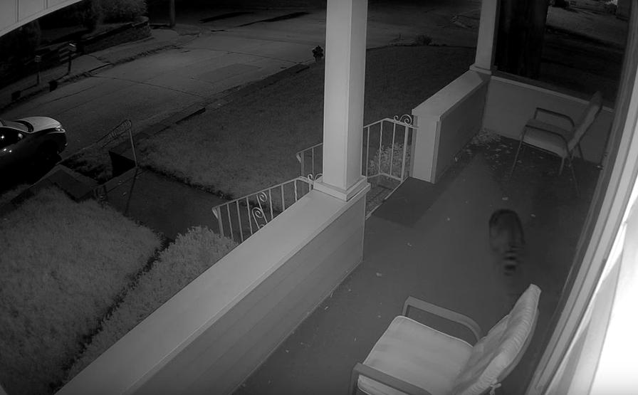 Kamera IP Reolink GO Series G330 camuflage z panelem solarnym 14 Kamera IP Reolink GO Series G330 camuflage z panelem solarnym - obrazek 14