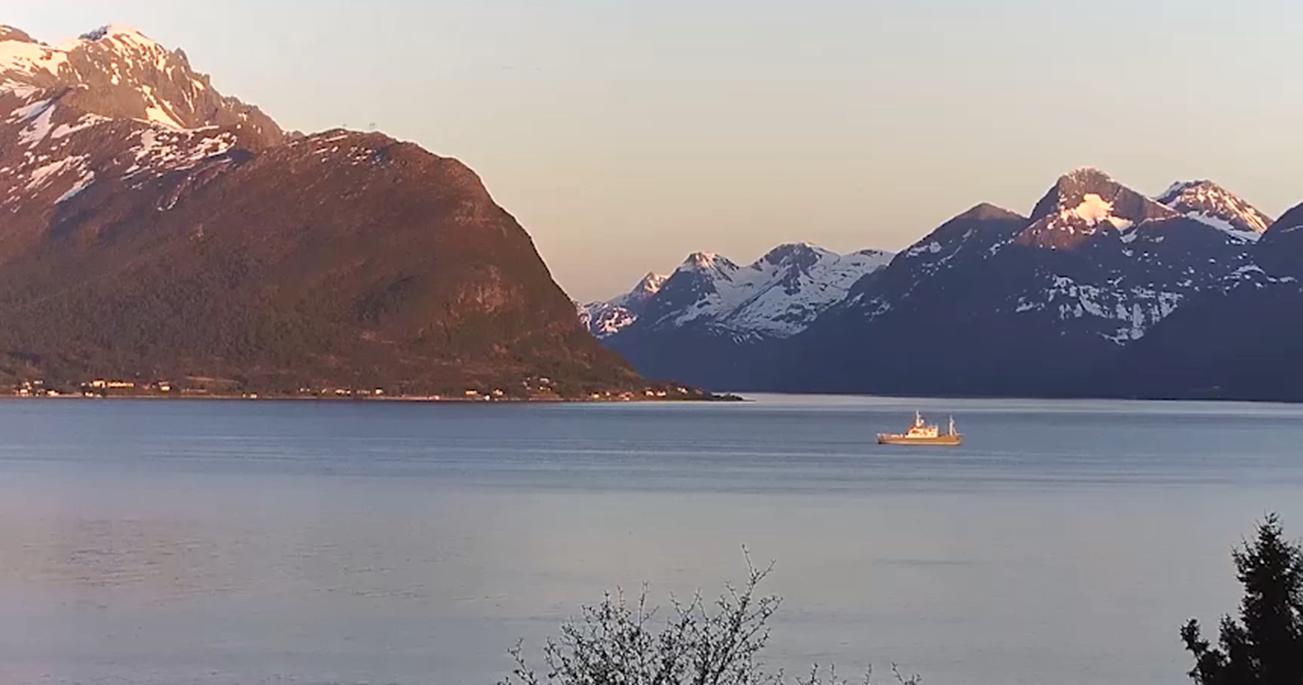 Kamera IP Reolink P320 5MP POE biała 6 Kamera IP Reolink P320 5MP POE biała - obrazek 6