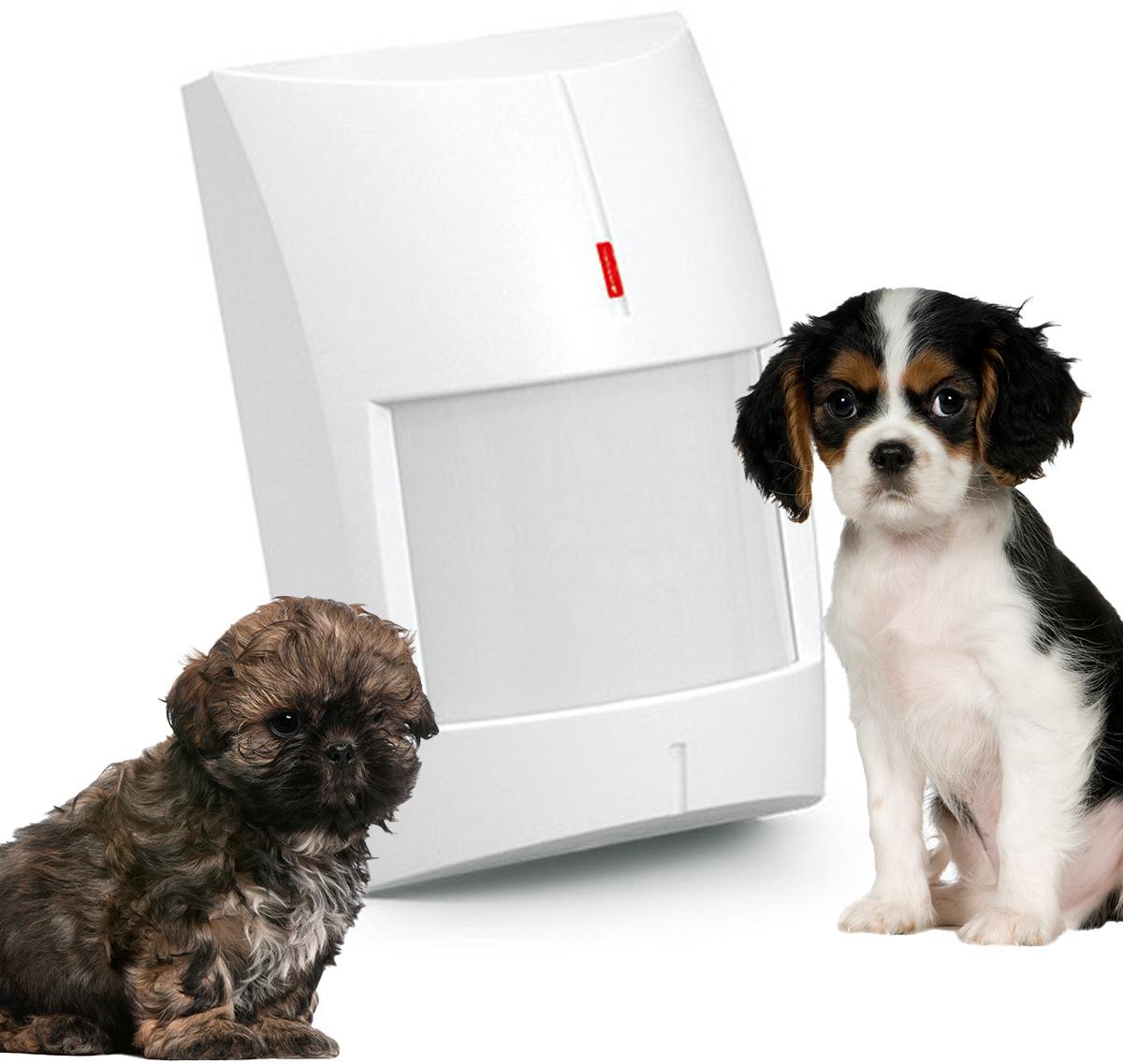 SATEL CZUJNIK RUCHU PIR+MW GREY 1 SATEL CZUJNIK RUCHU PIR+MW GREY