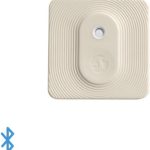 Shelly Blu H&T Ivory