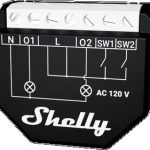 Shelly Qubino Wave 2PM