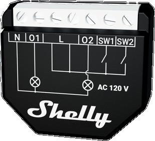 Shelly Qubino Wave 2PM