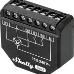 Shelly Shutter