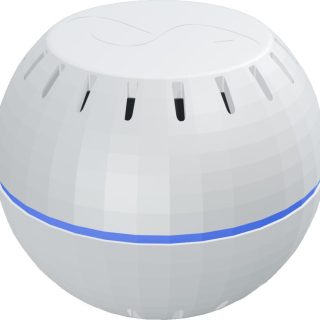 Shelly Wave H&T (2025)