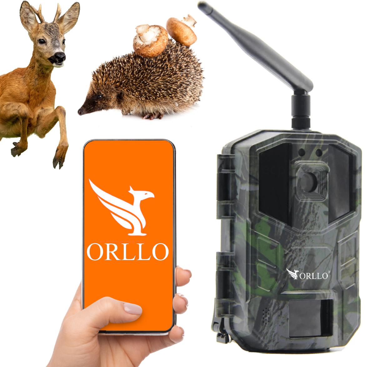 Kamera leśna Orllo Huntercam 3 GSM Fotopułapka 2 47a5f2ad92323420ce302b12e82554e4